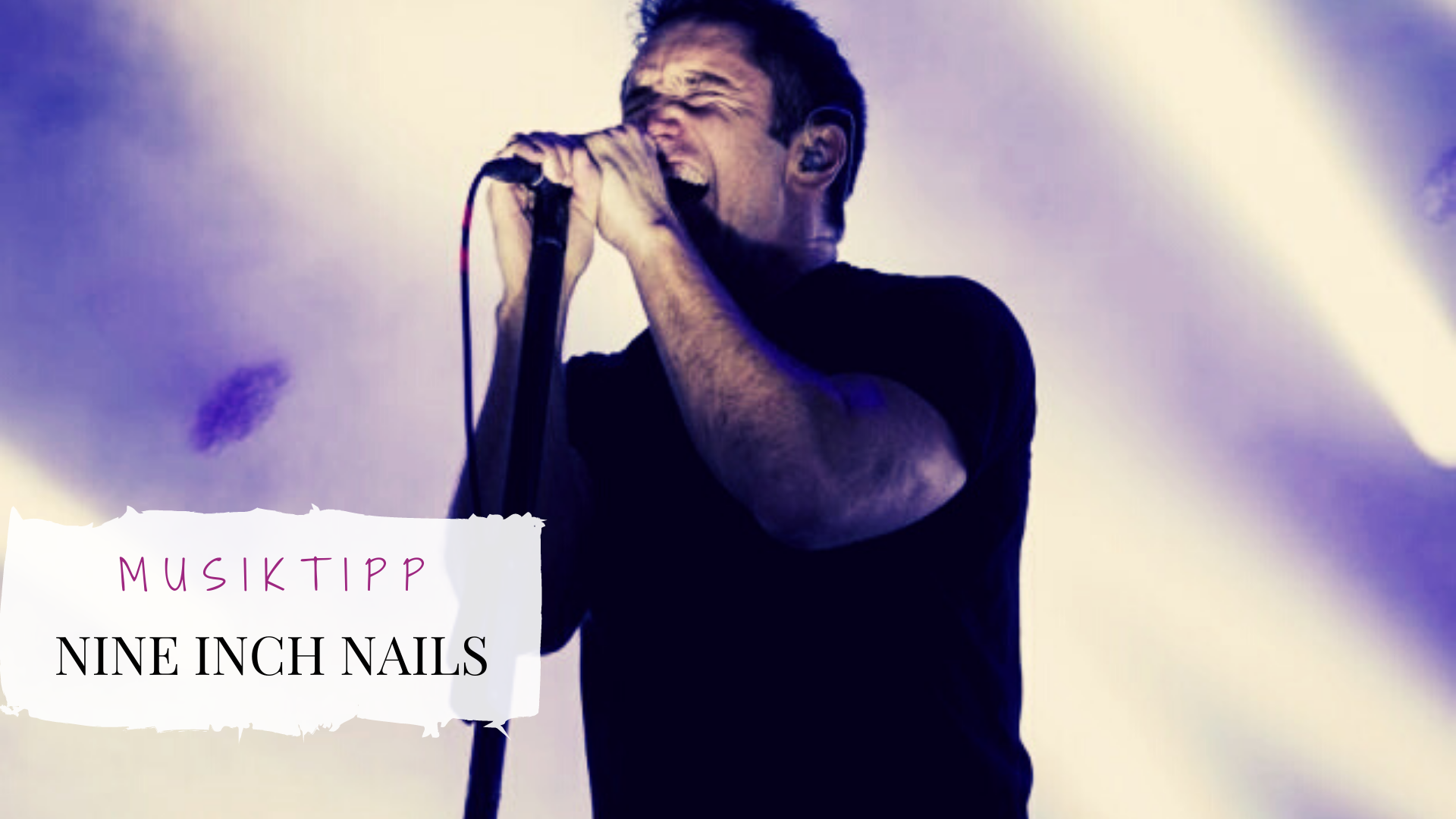 Read more about the article Nine Inch Nails *The Lovers*