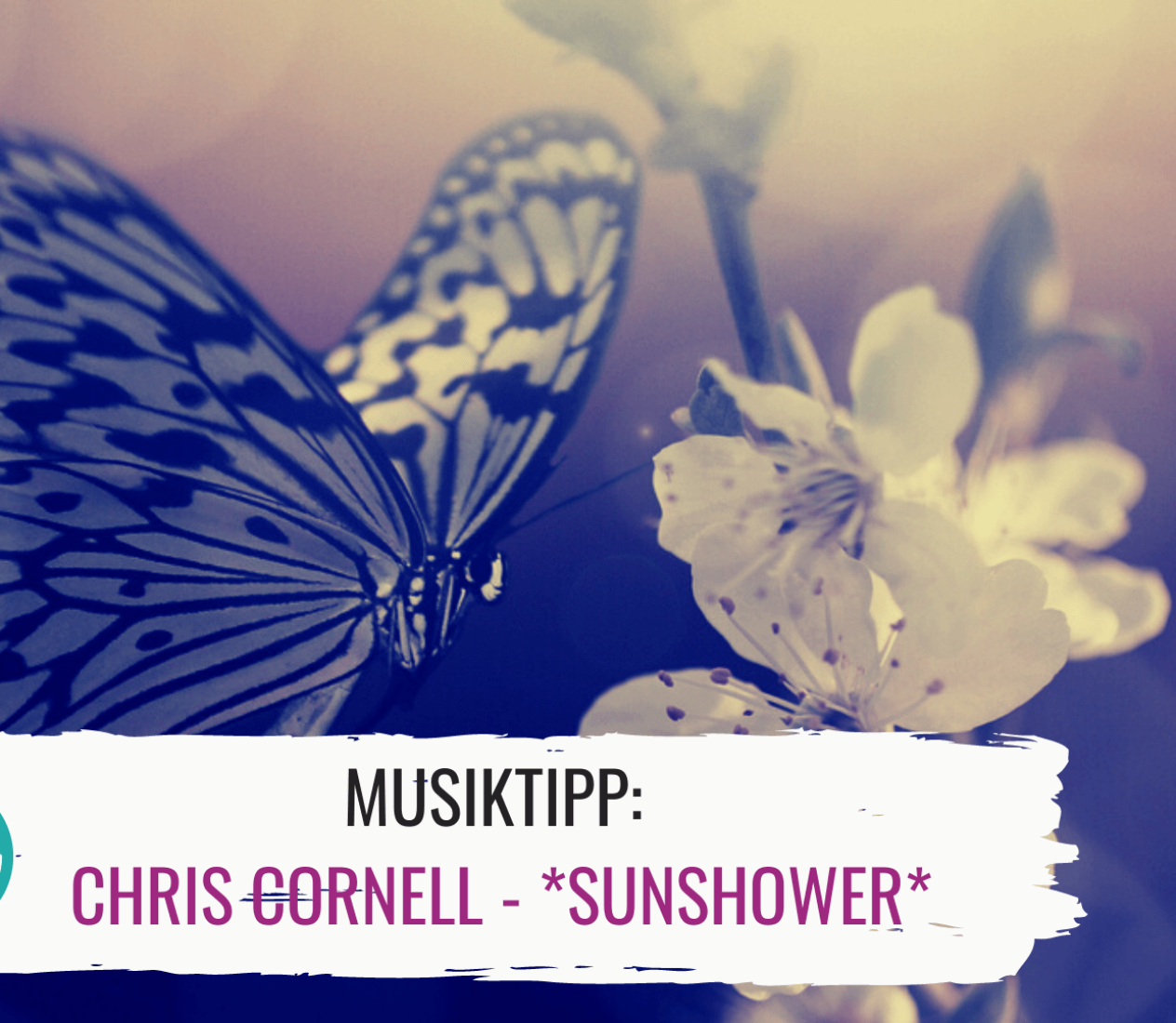 Musiktipp: Chris Cornell – *Sunshower*