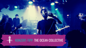 The Ocean Collective Live